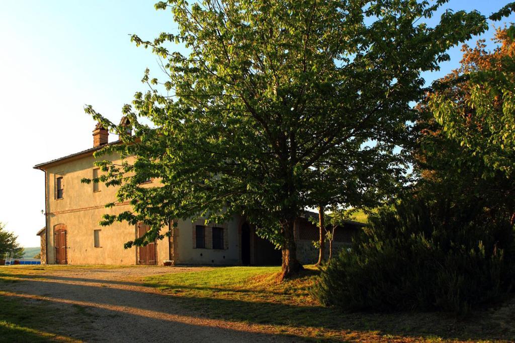 Tenuta Di Corbara Corbara  Værelse billede