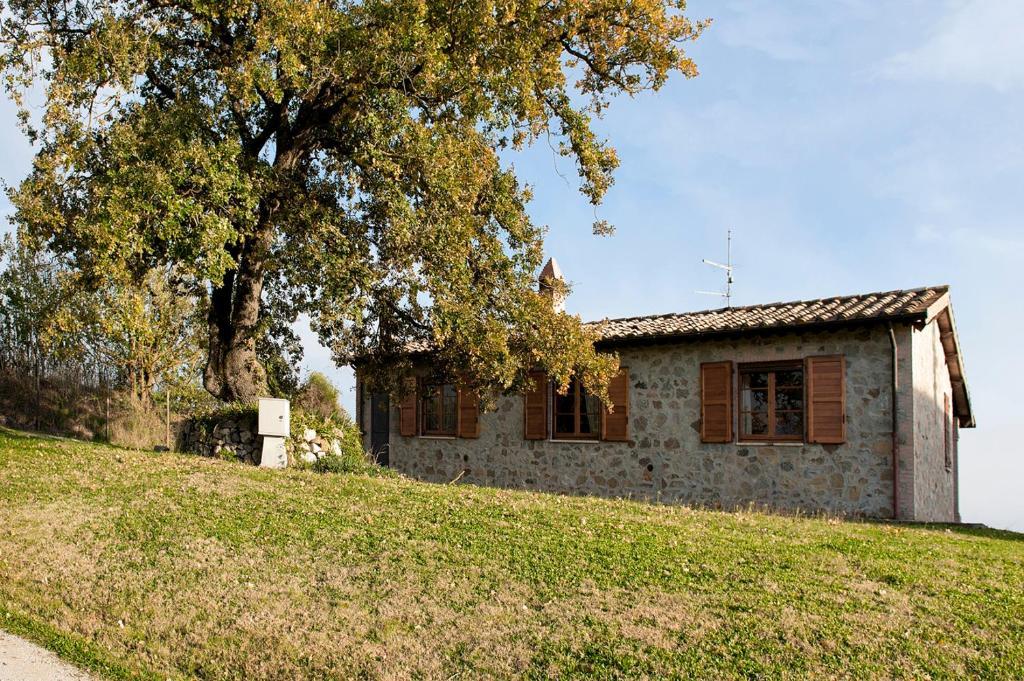 Tenuta Di Corbara Corbara  Eksteriør billede